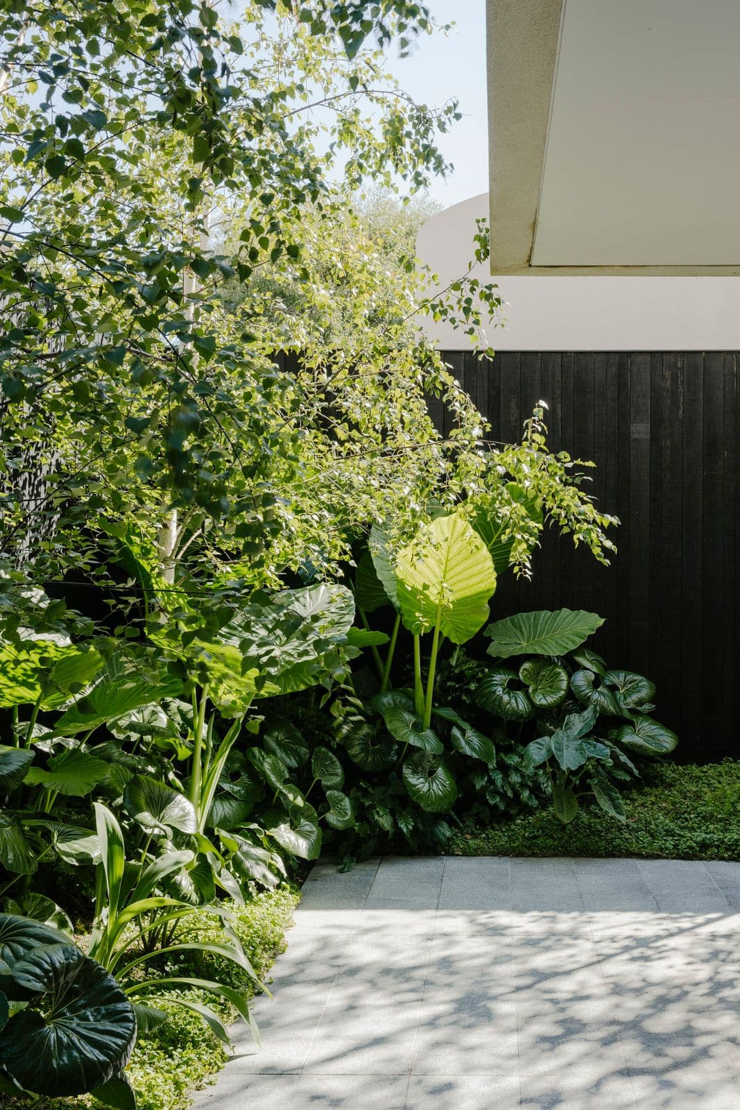 Davis Ave South Yarra